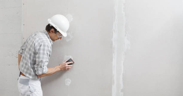 Best Biohazard Mold Removal  in Lanark, IL