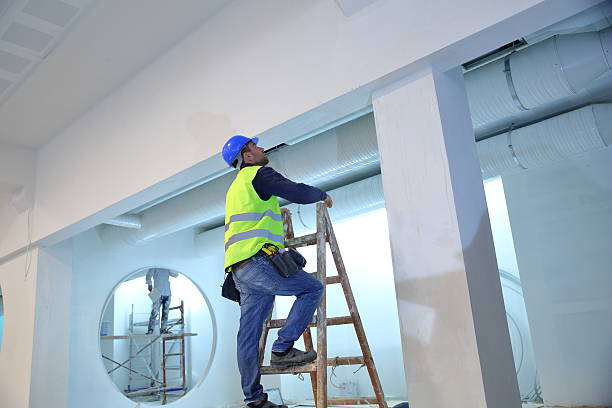 Best Mold Documentation for Insurance Claims  in Lanark, IL
